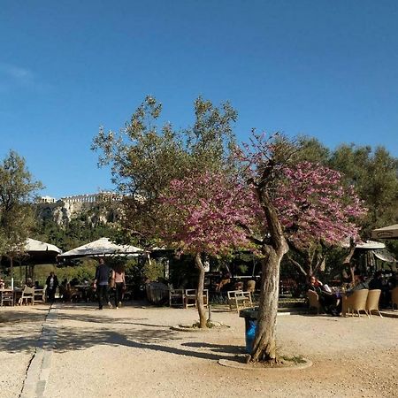 Athens Blossom House Under Acropolis With Private Entrance Kültér fotó